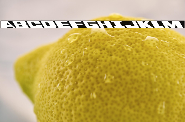 Dassault Leftalic Example 3