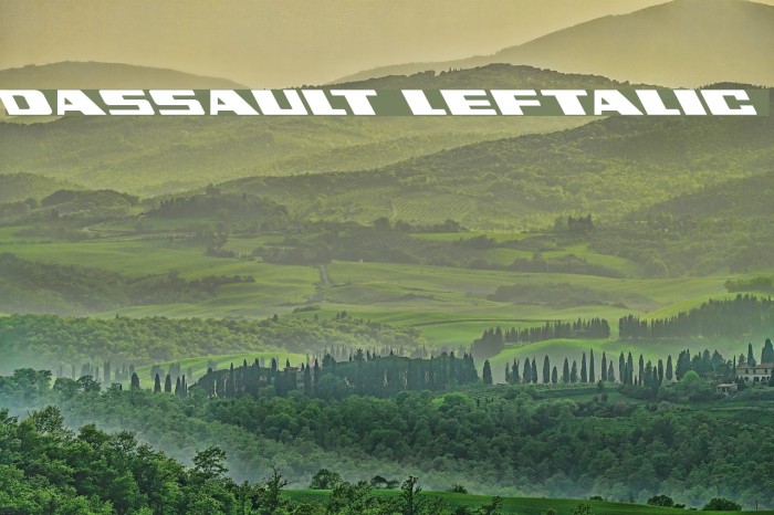 Dassault Leftalic Font examples