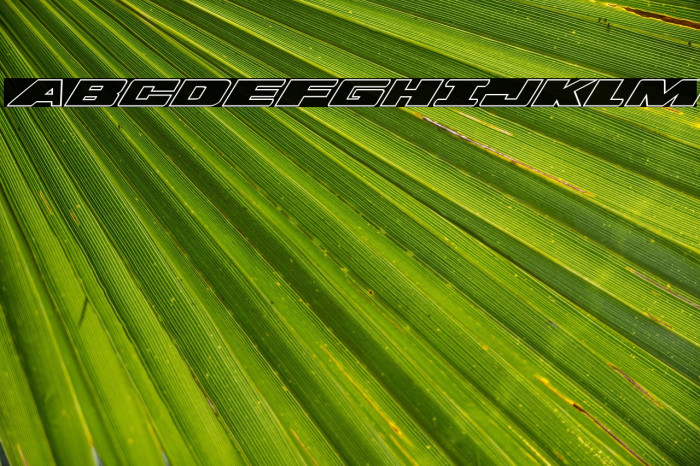 Dassault Outline Italic Example 2