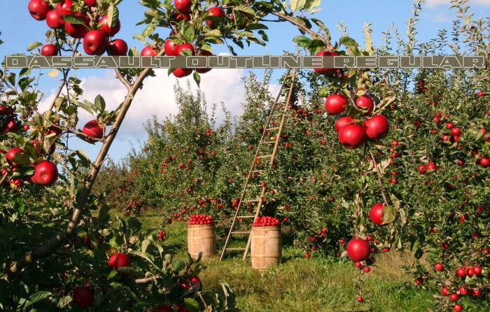 Dassault Outline Regular Example 1