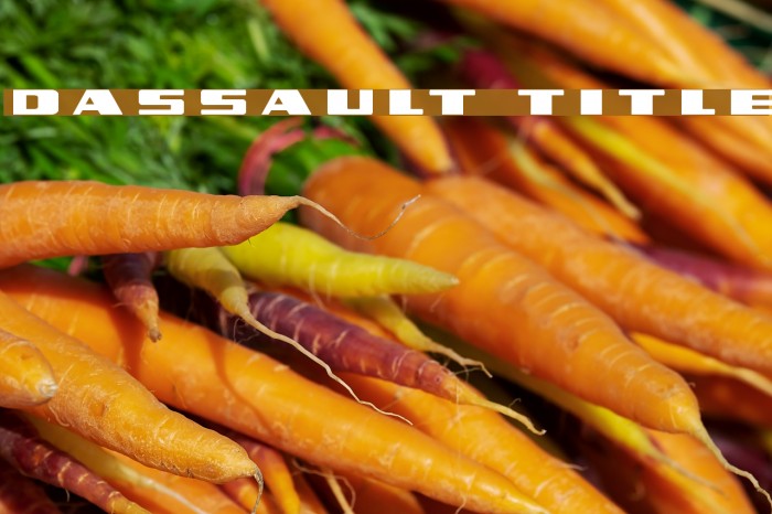 Dassault Title Font examples