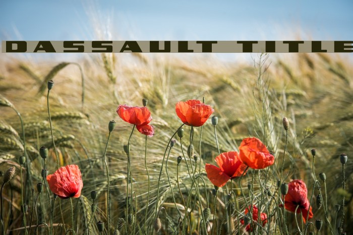 Dassault Title Font examples