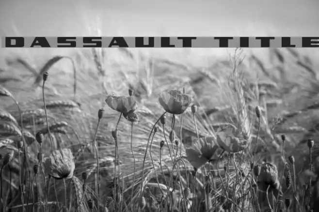 Dassault Title Example 3