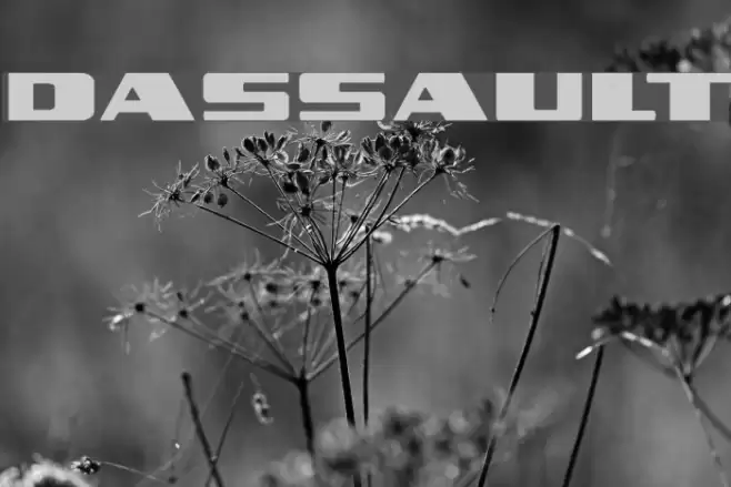 Dassault Font examples