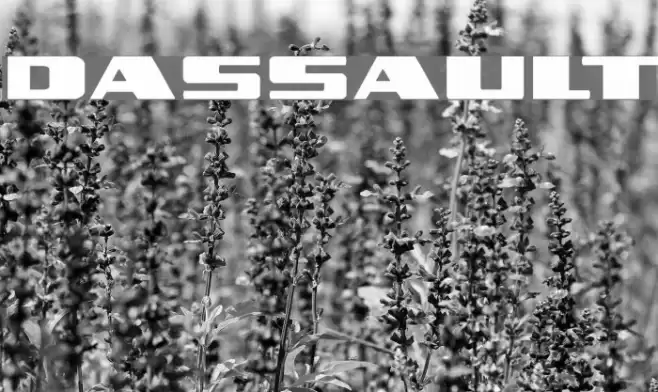 Dassault Font examples