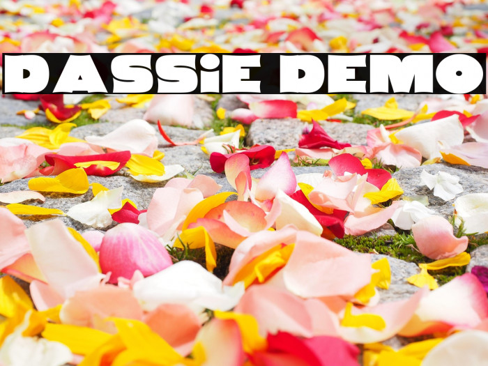 Dassie DEMO Example 2