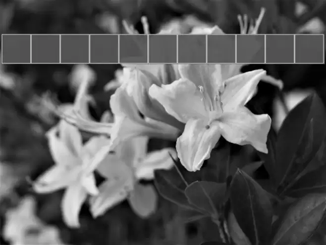 Dastafarin-Regular Font examples