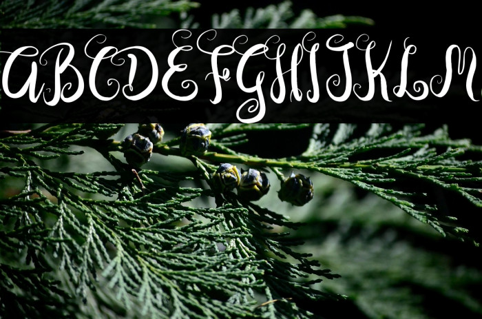 DastanScript Example 1