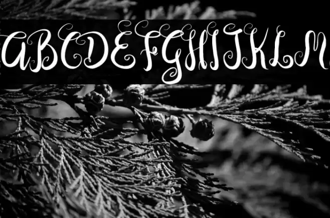 DastanScript Font examples