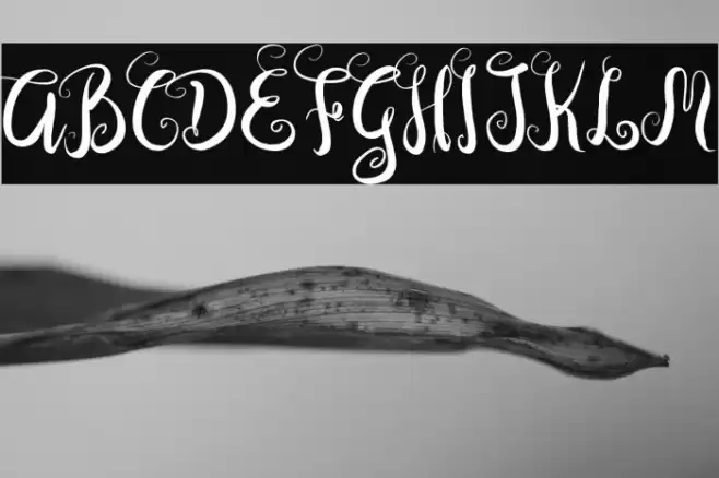 DastanScript Font examples