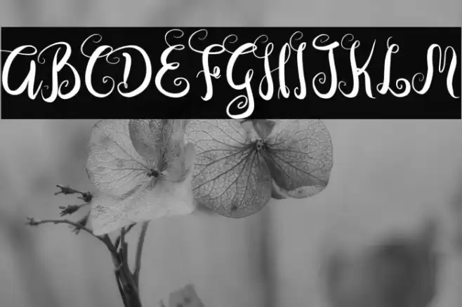 DastanScript Font examples