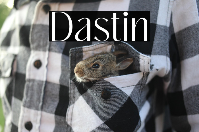 Dastin Example 1