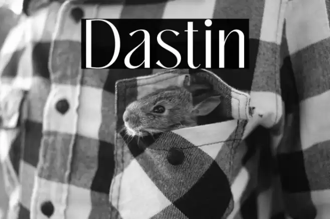 Dastin Font examples