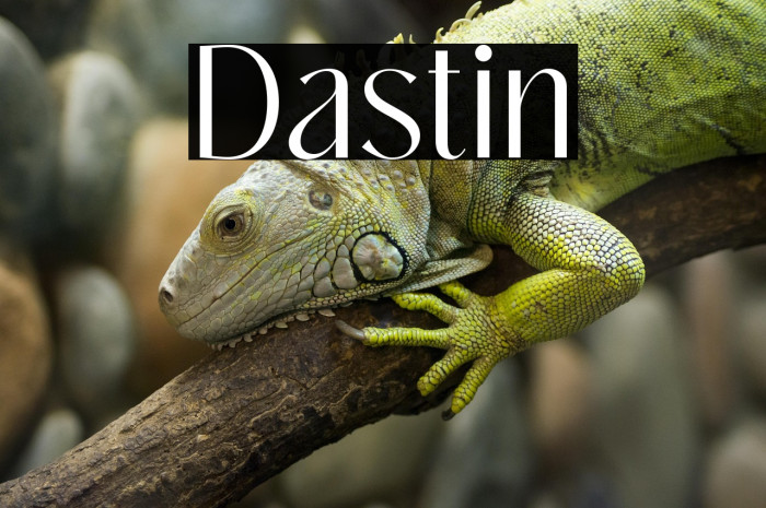 Dastin Example 3