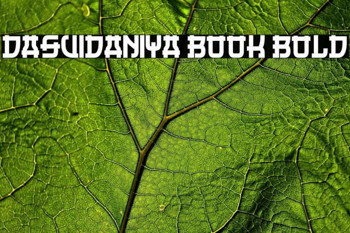 Dasvidaniya Book Bold Example 3