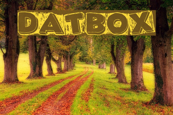 DatBox Font examples