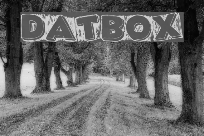 DatBox Example 2