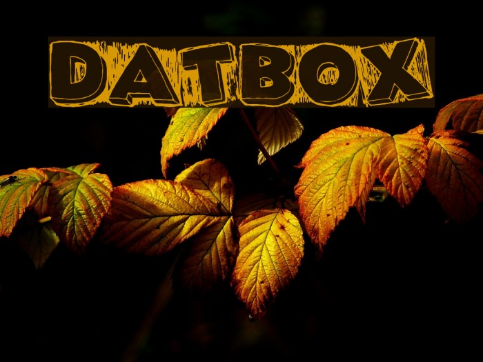 DatBox Font examples