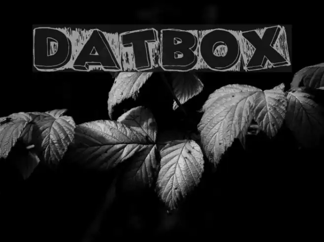 DatBox Example 3