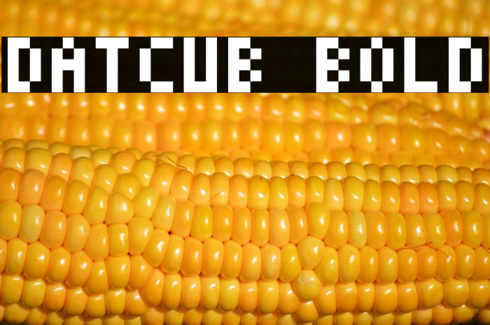 DatCub Bold Example 2