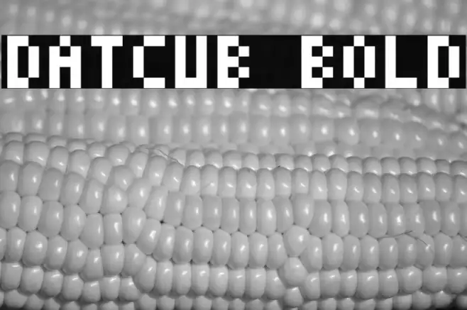 DatCub Bold Example 2