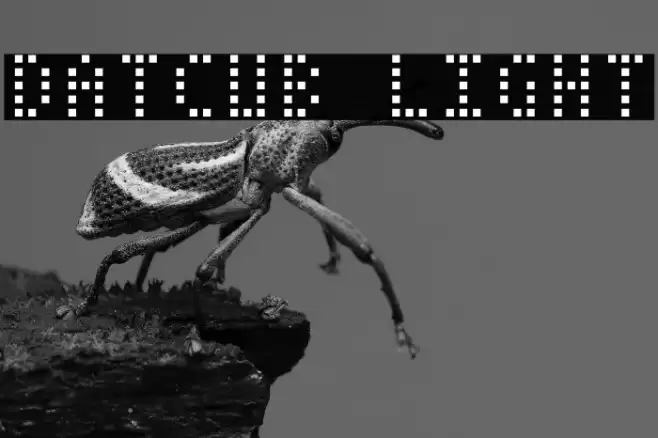 DatCub Light Font examples