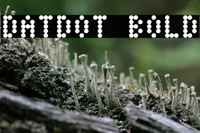 DatDot Bold Example 3