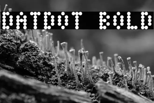 DatDot Bold Example 3