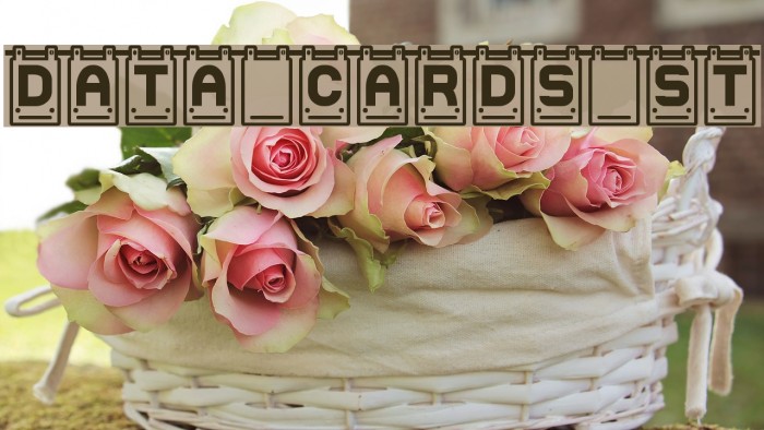 Data Cards St Font examples