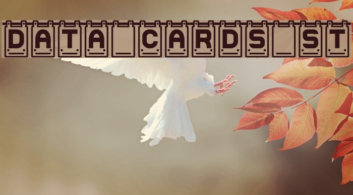 Data Cards St Font examples