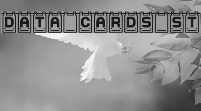 Data Cards St Fuentes examples