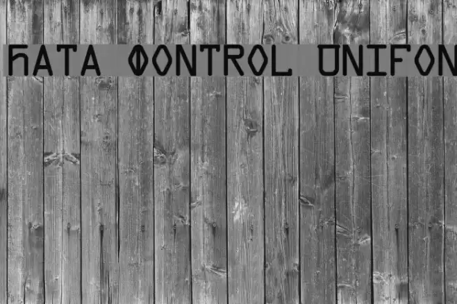 Data Control Unifon Font examples