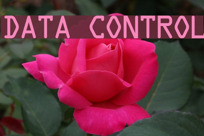Data Control Font examples