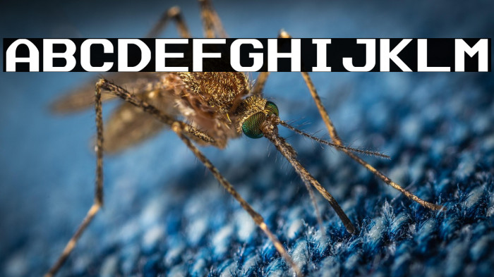 Data Sun Fixed-Width Example 2