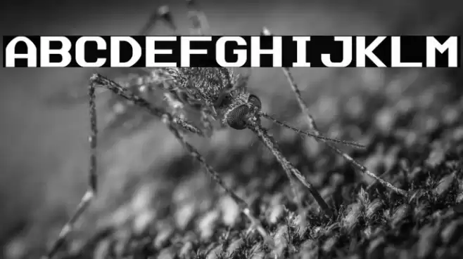 Data Sun Fixed-Width Font examples