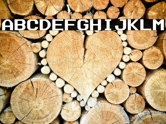 Data Sun Fixed-Width Example 3