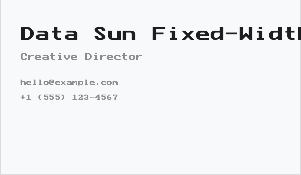 Data Sun Fixed-Width Business Card