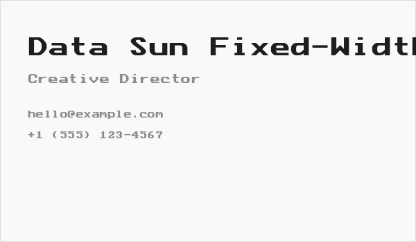 Data Sun Fixed-Width Business Card