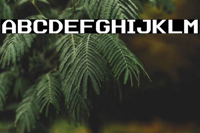 Data Sun Justified Example 1