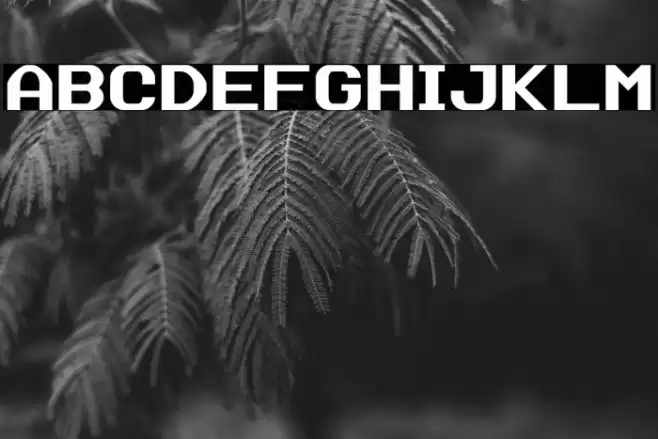 Data Sun Justified Font examples