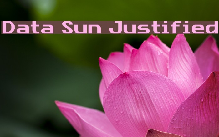 Data Sun Justified Font examples