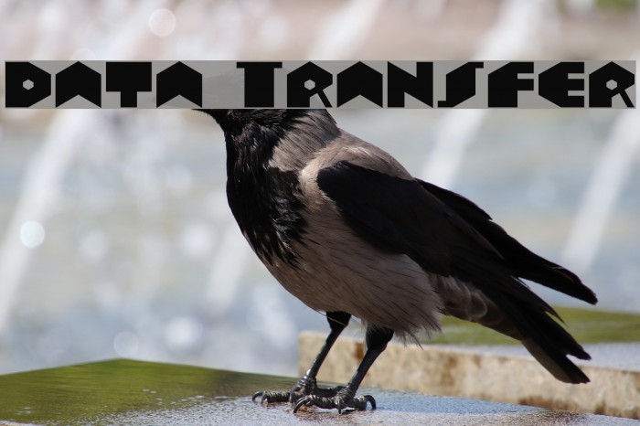 Data Transfer Font examples