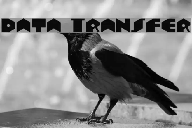 Data Transfer Example 2