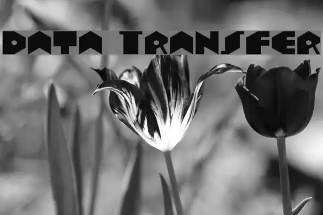 Data Transfer Example 3