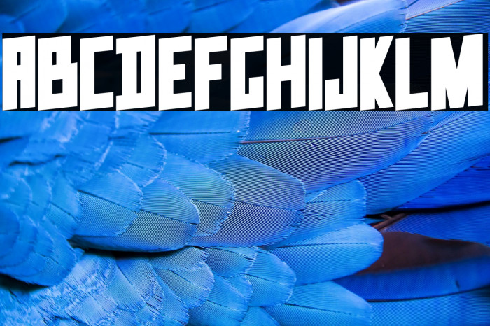 Data Trash #2 Example 2