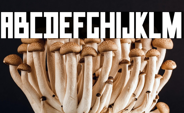 Data Trash Example 1