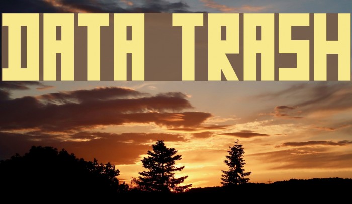 Data Trash Example 1
