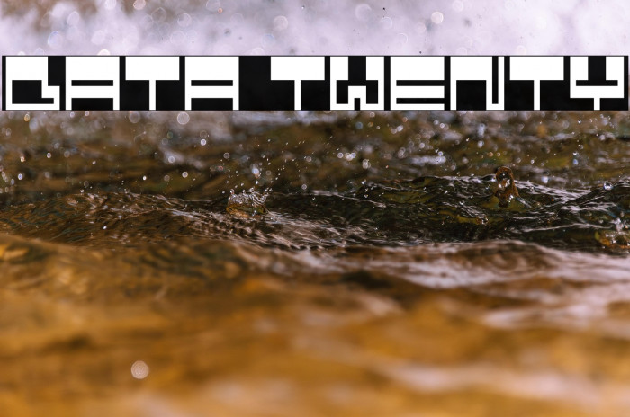 Data Twenty Example 1