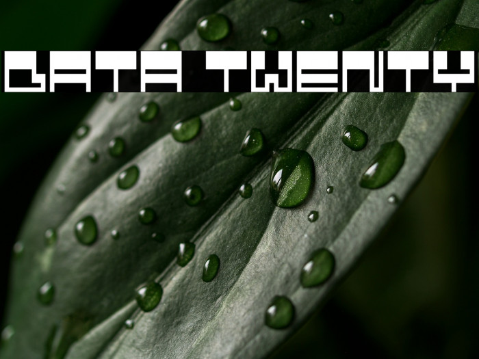 Data Twenty Example 2