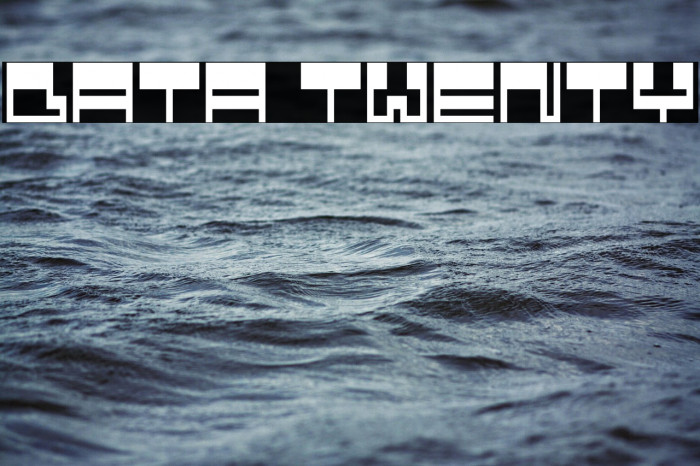 Data Twenty Example 3